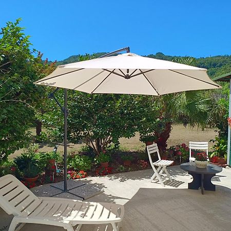 فيلا Sunny House Carasco المظهر الخارجي الصورة