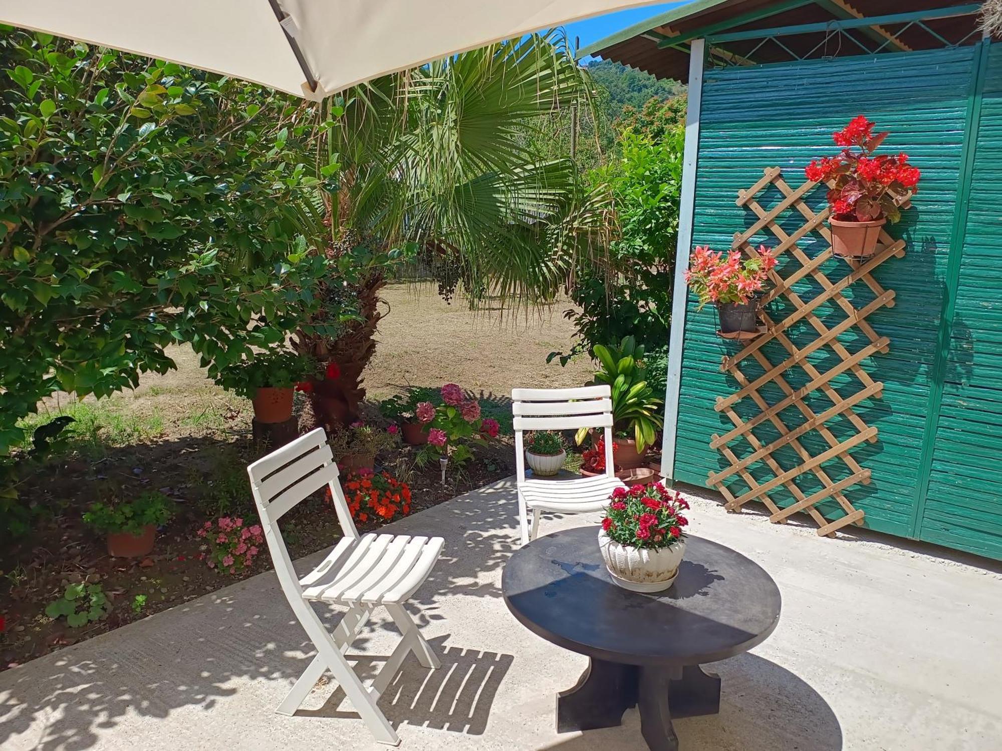 فيلا Sunny House Carasco المظهر الخارجي الصورة